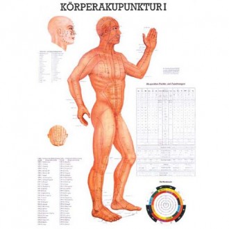 Naučný plakát Akupunktura těla I